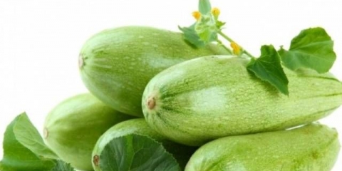 Kako zamrznuti tikvice za zimu kod kuće